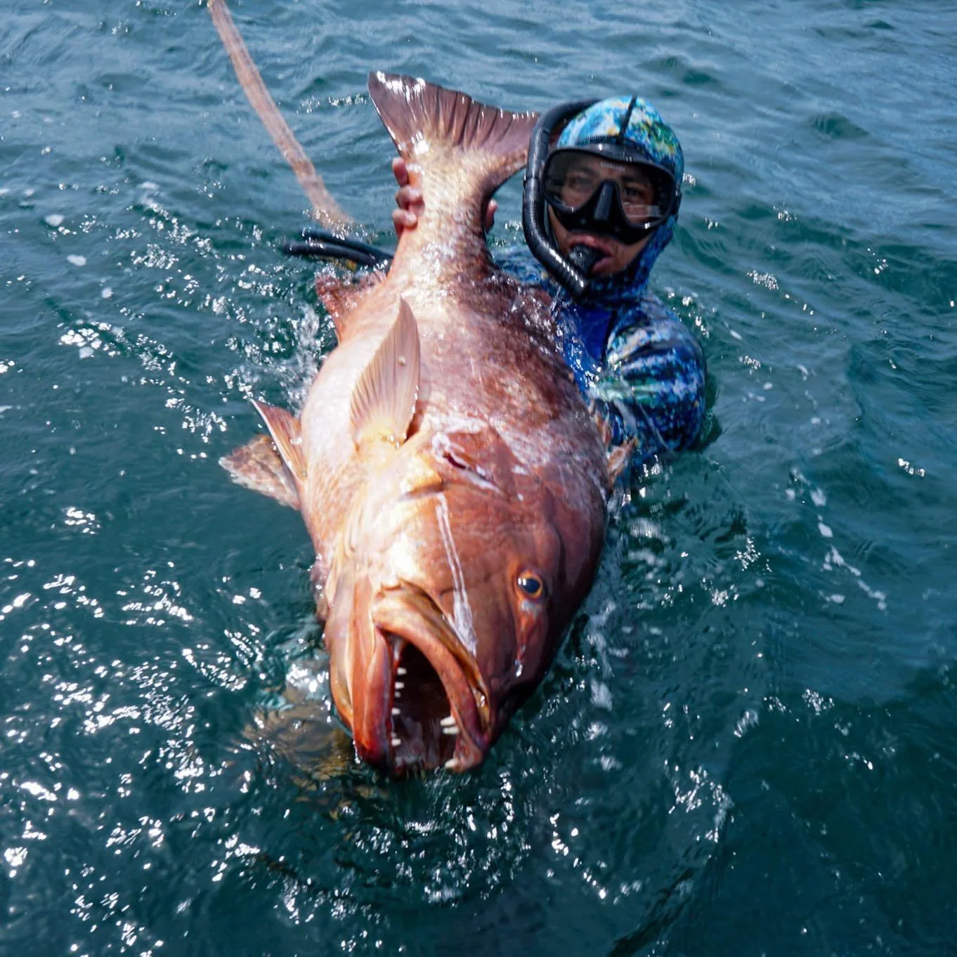 Reef spearfishing group heading offshore from Punta Mita