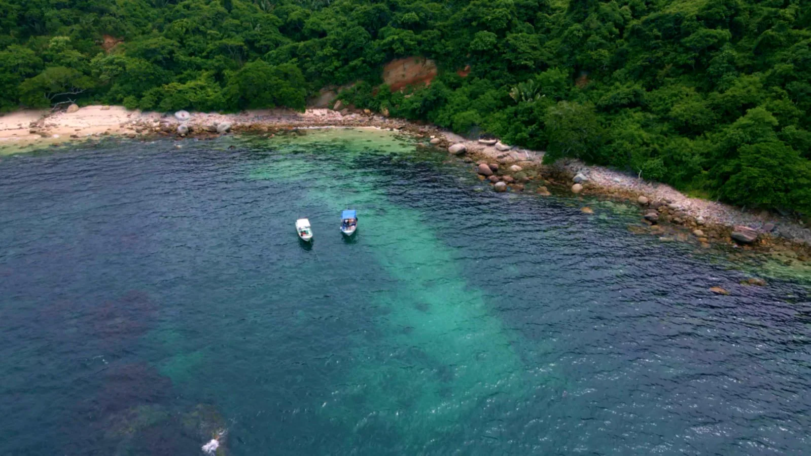 Private boats anchored in a sheltered green bay on the Pacific coast
