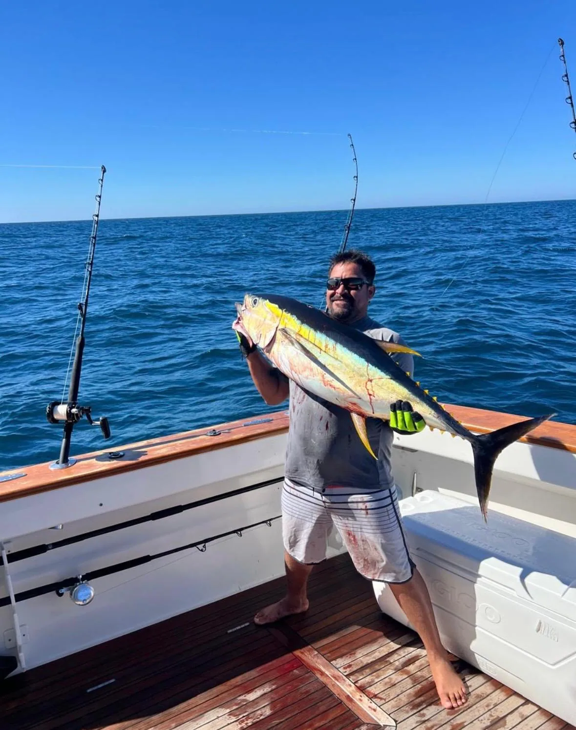 Seasonal fishing and spearfishing species in Banderas Bay, Mexico