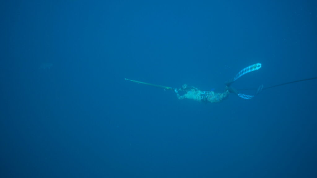 Gallery of Blue water hunting