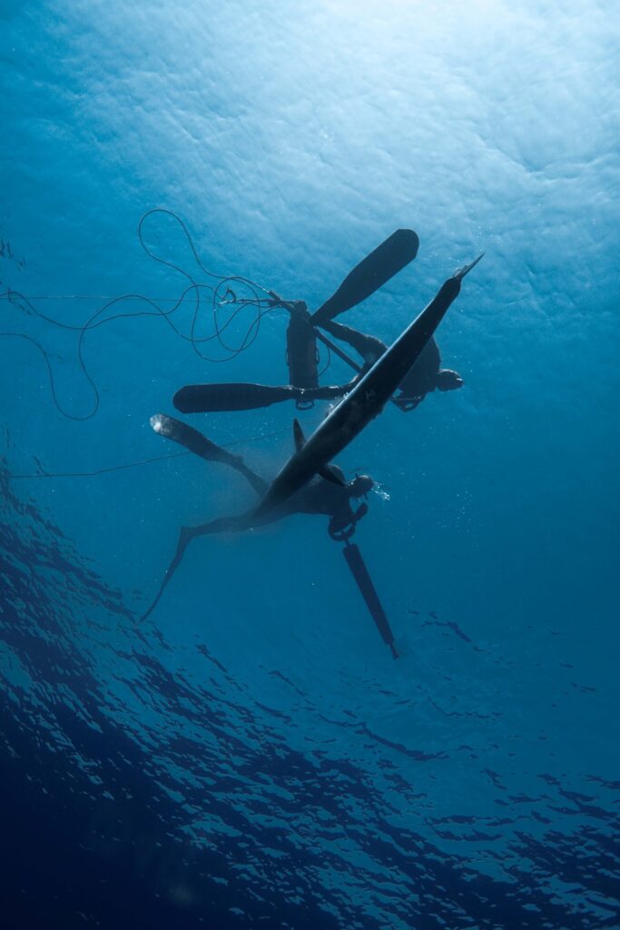 Gallery of Blue Water Hunting