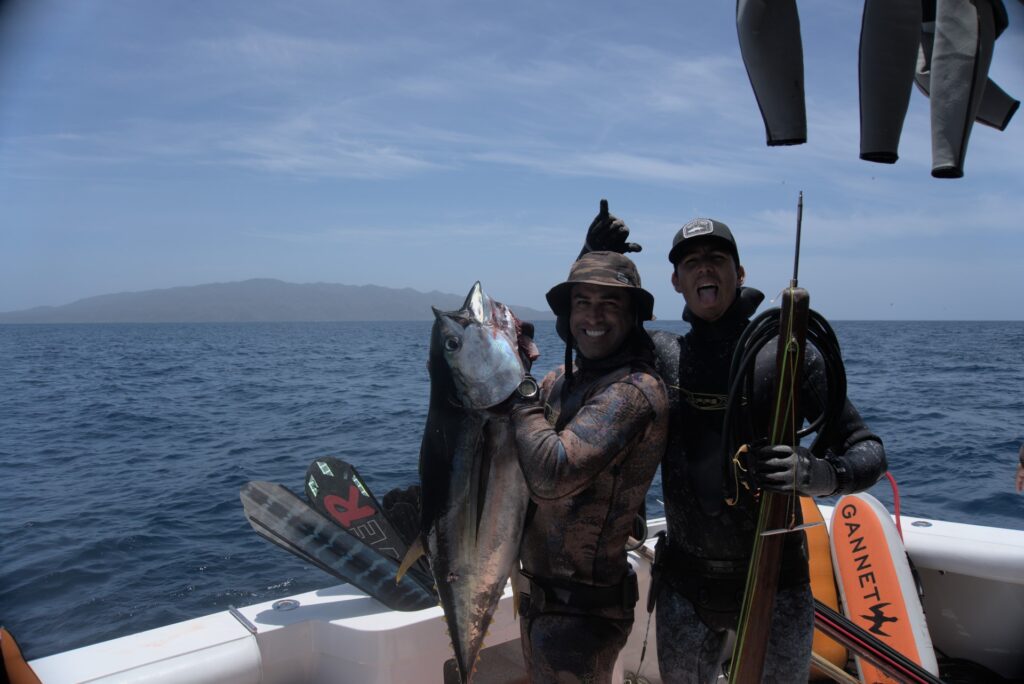 Gallery of Blue water hunting