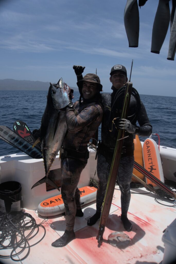 Gallery of Blue water hunting