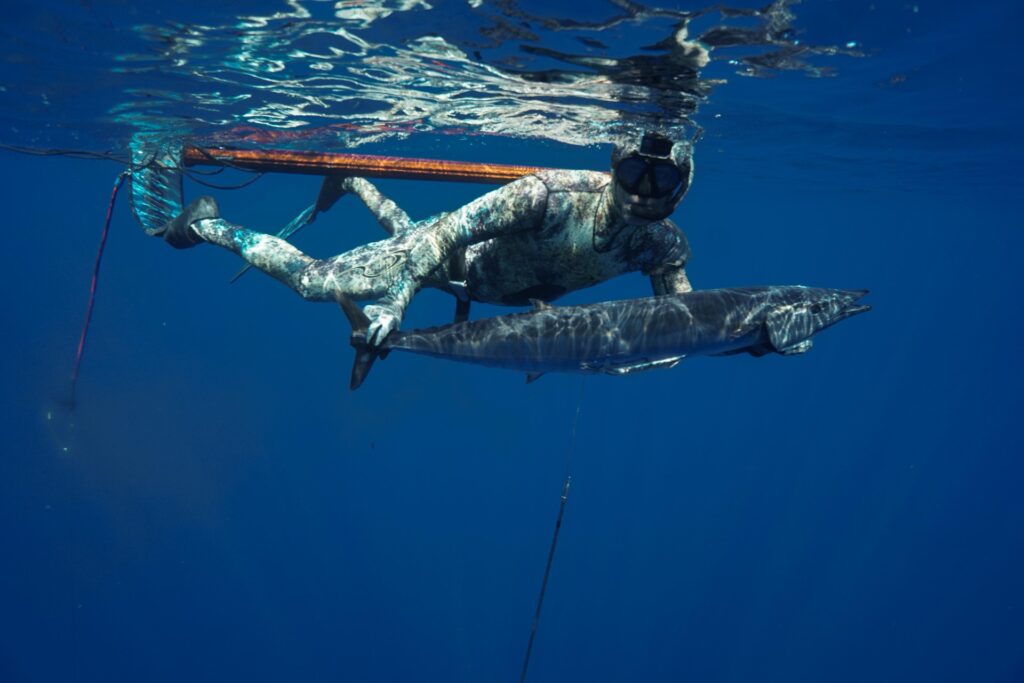Gallery of Blue Water Hunting