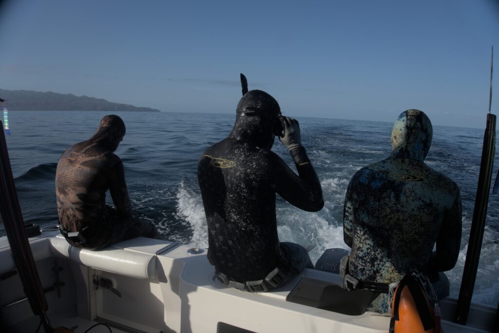 Gallery of Blue water hunting