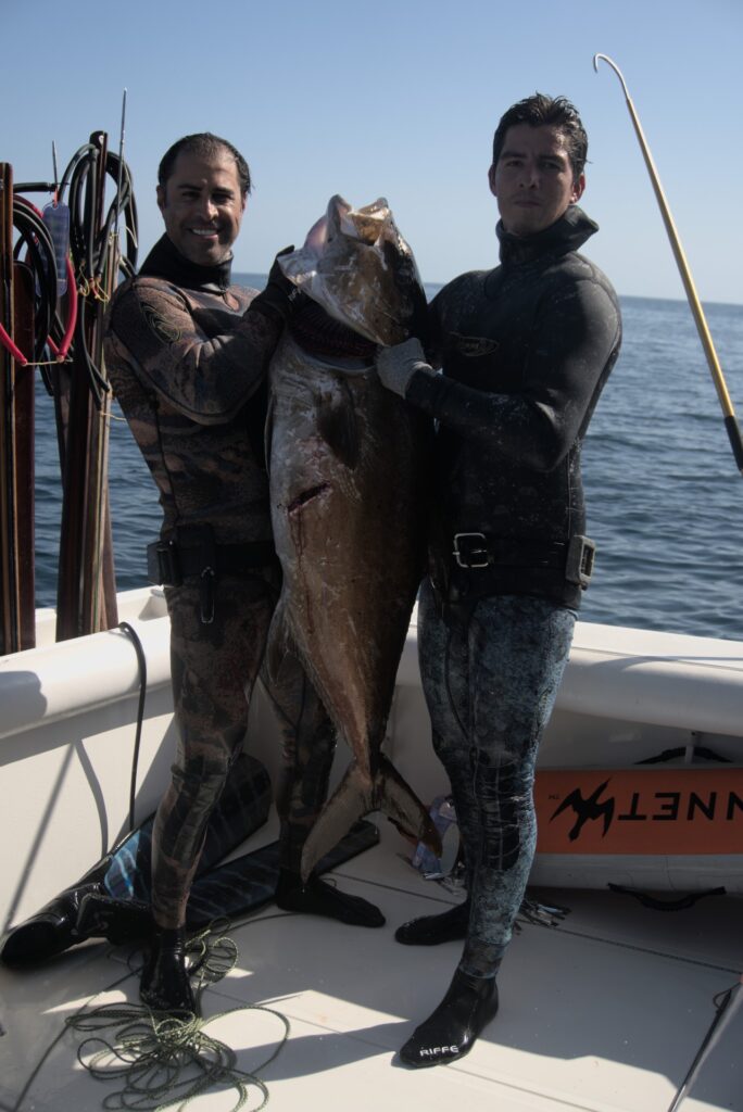 Gallery of Blue water hunting