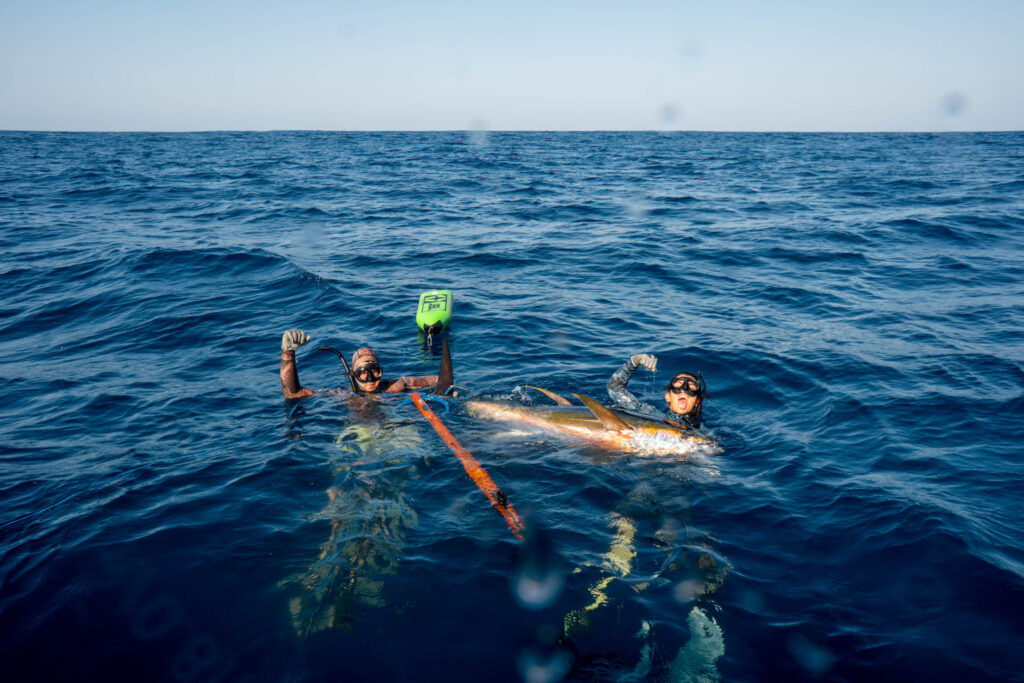 Gallery of Blue water hunting